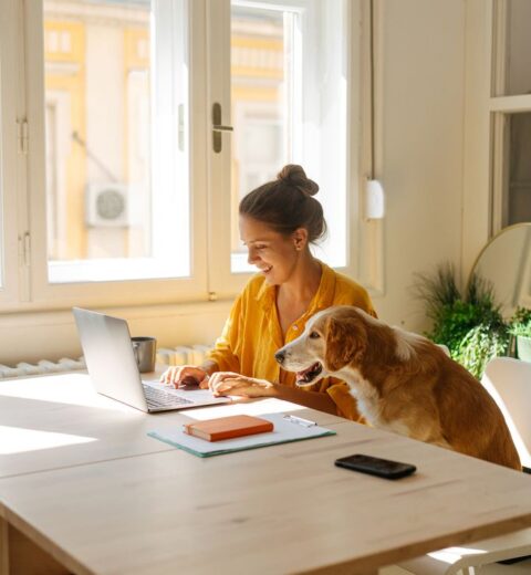Partnerships Coordinator